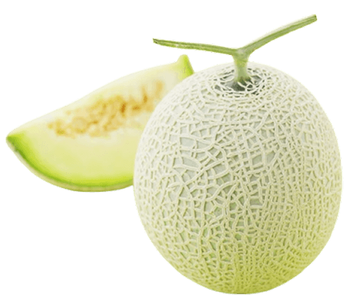Melon